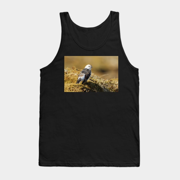 Snow bunting Tank Top by orcadia